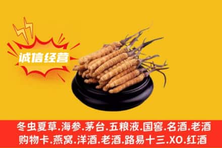 宝鸡市渭滨回收冬虫夏草